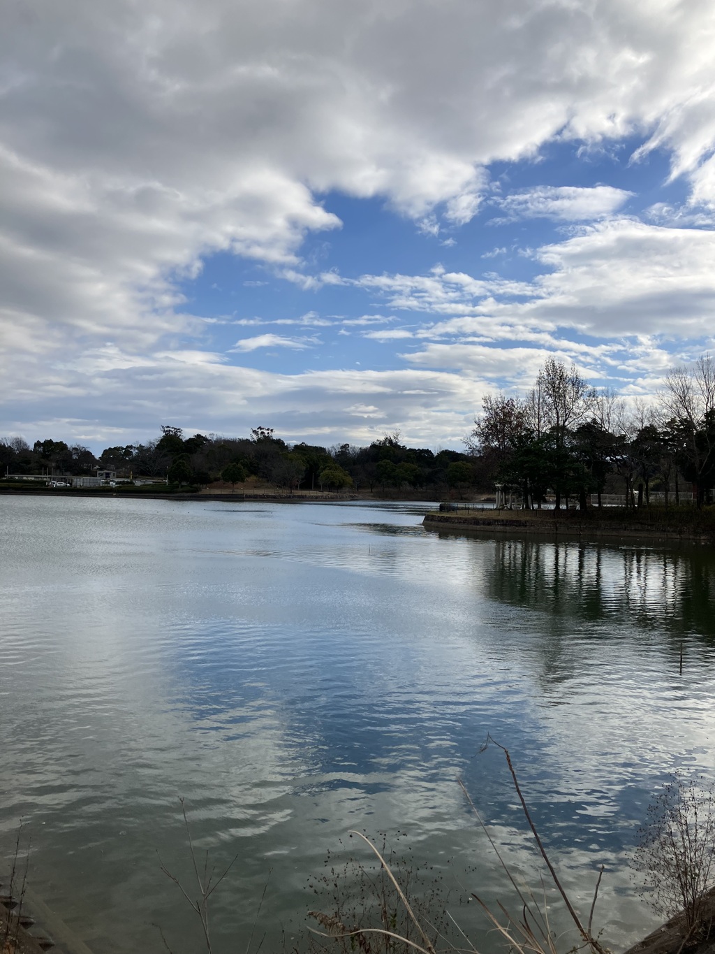 散歩コースにて