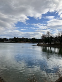 散歩コースにて