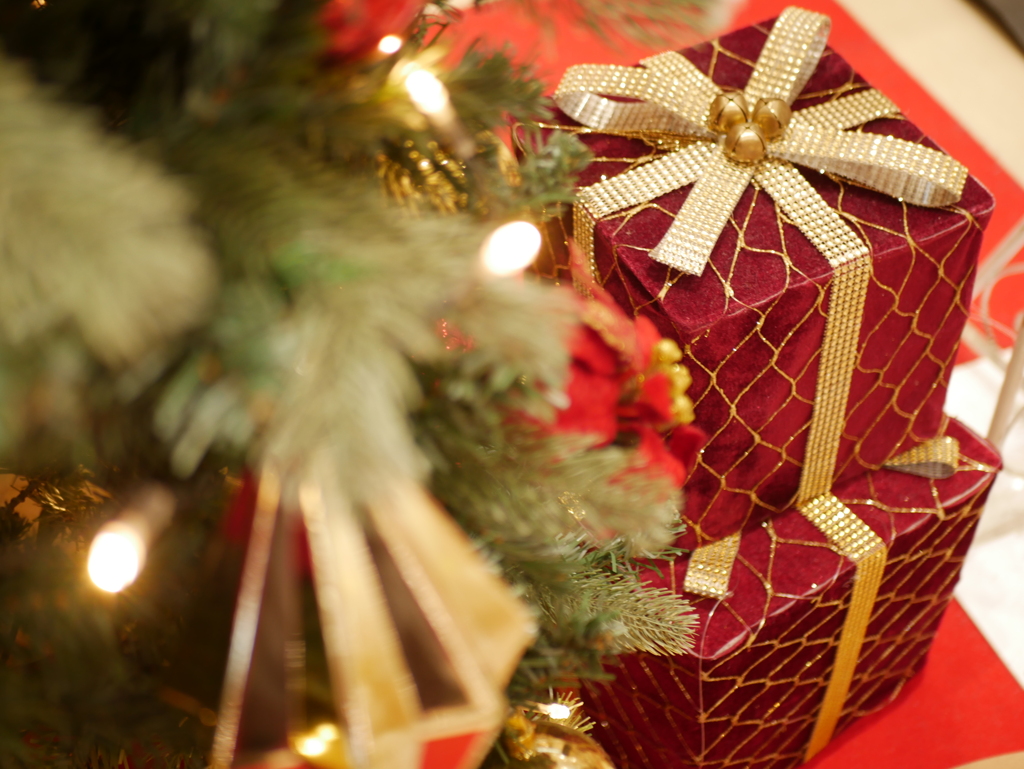 サンタさんは来ましたか？