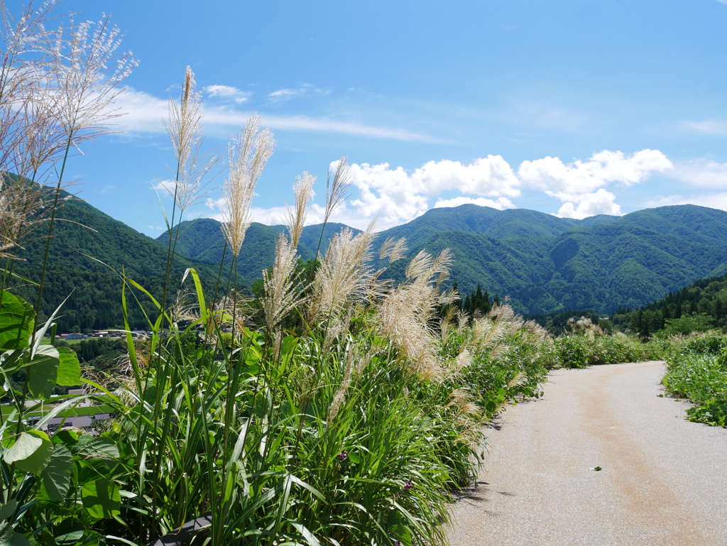 ちょっと秋っぽい風景