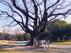 冬日和
