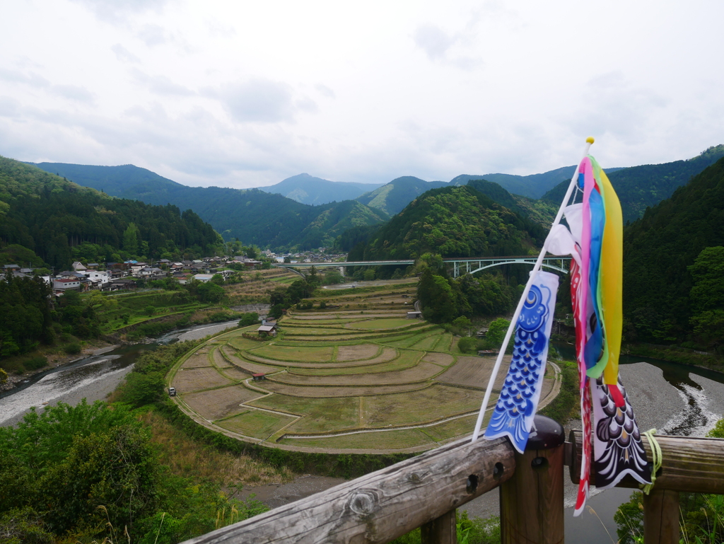 田植え前のあらぎ島