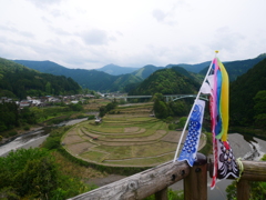 田植え前のあらぎ島