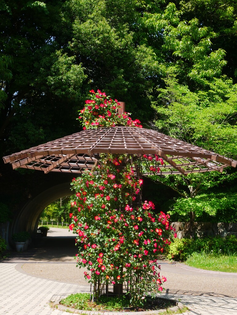 カクテルタワー