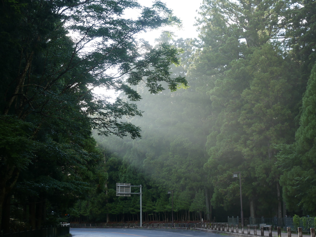 雨上がり