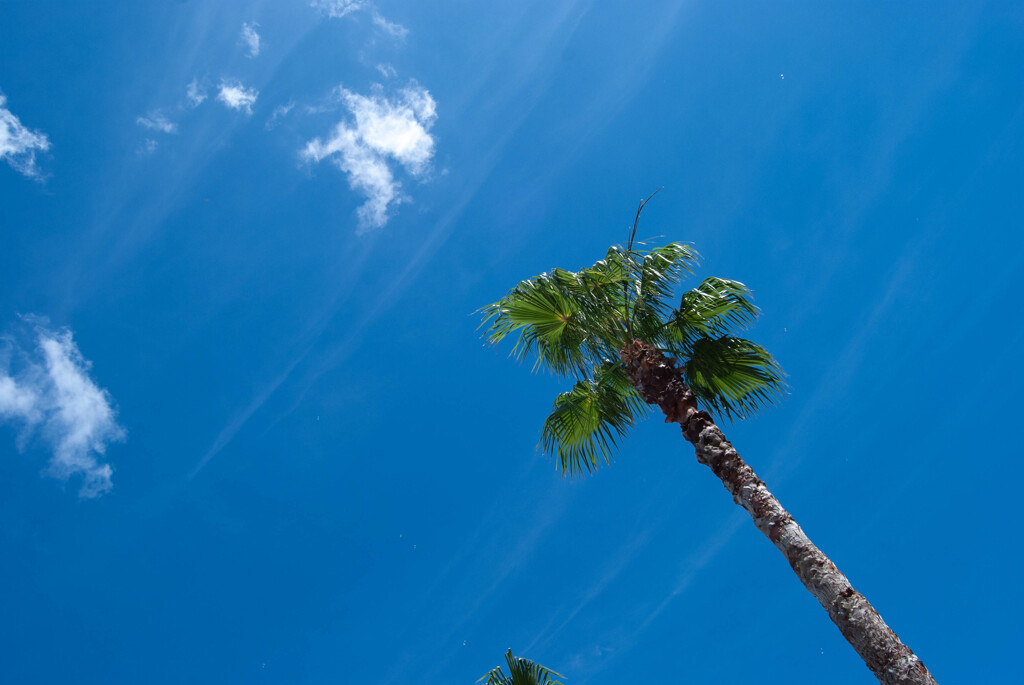 夏空
