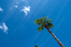夏空