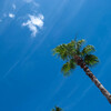 夏空