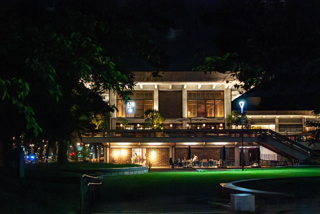 夜のオアシス