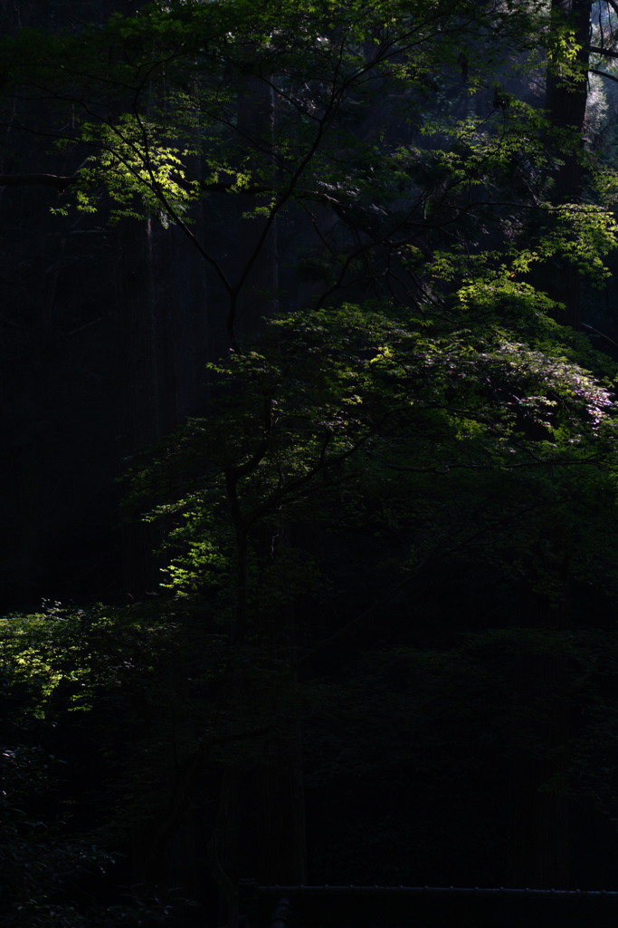 谷水薬師