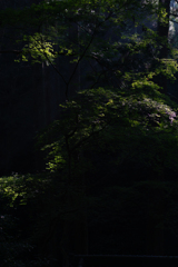 谷水薬師