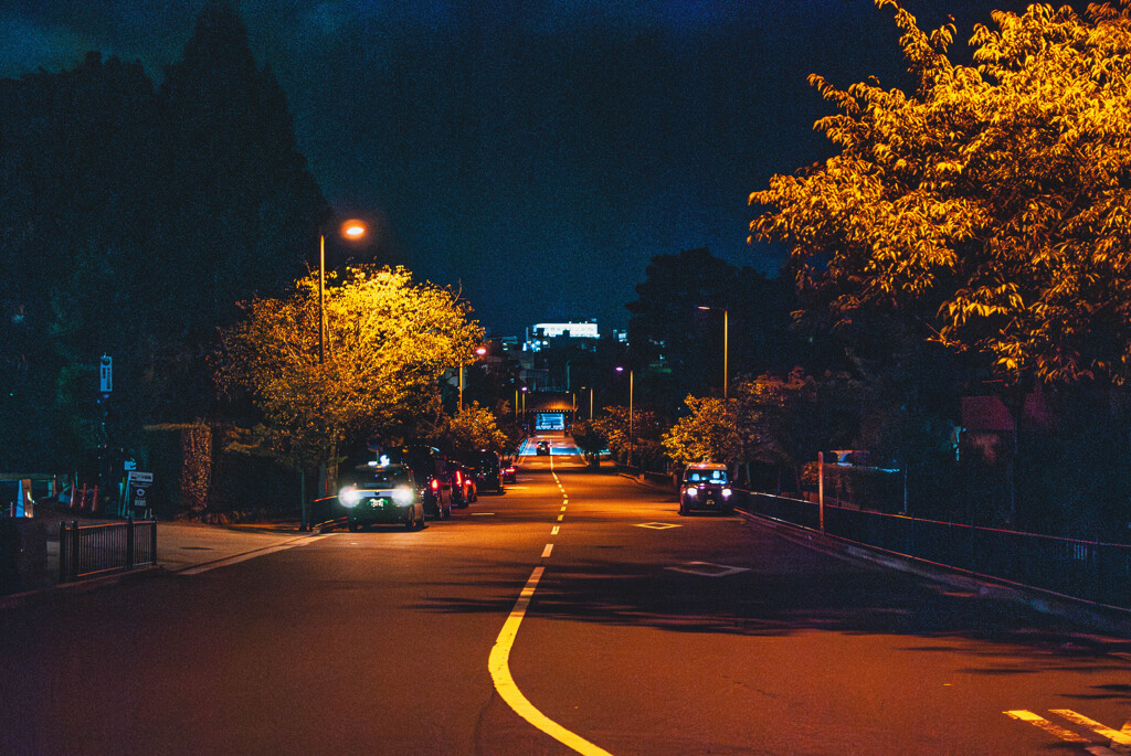 静かな散歩道