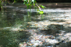 湧き水の小川