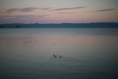 夕暮れの海