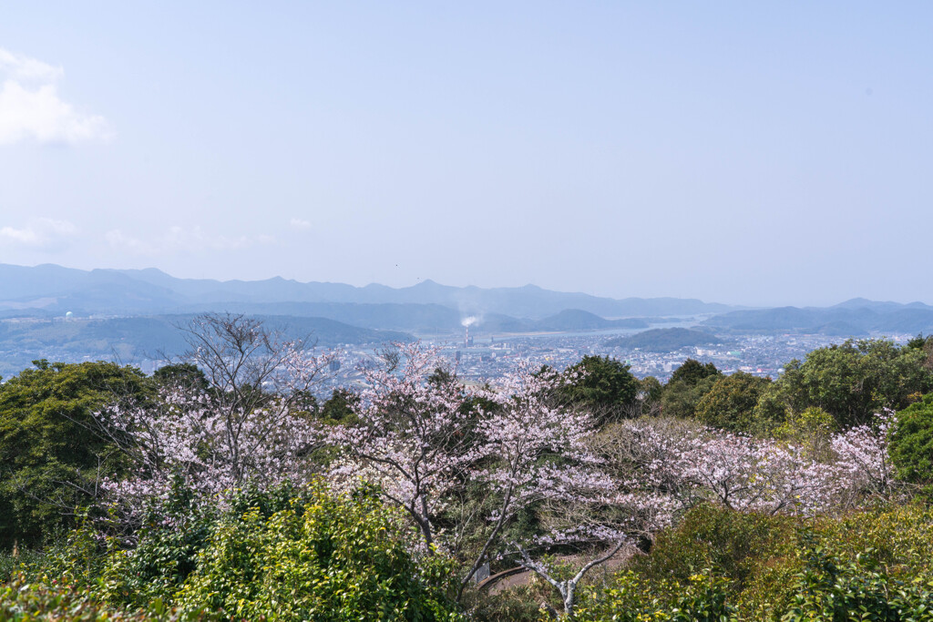 川内を臨む