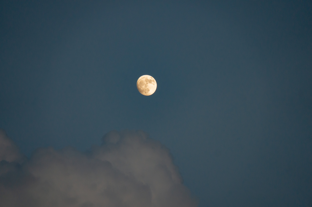 夕暮れの月