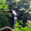 久しぶりに近所の滝へ