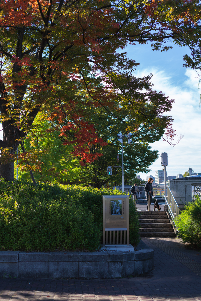 朝の鴨川