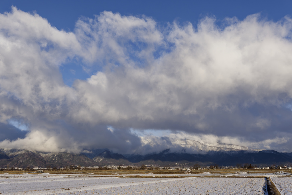 もくもくデイズ