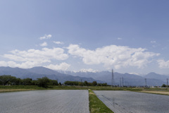 田植えの季節