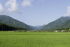 どう考えても夏