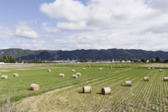 田んぼころころオブジェクツ