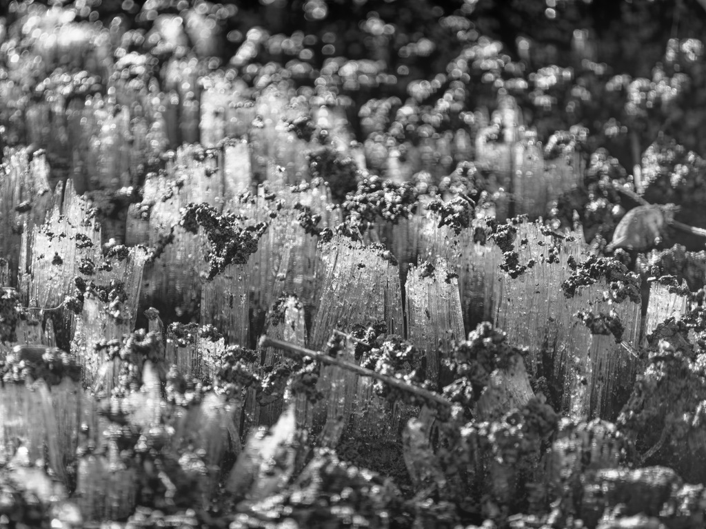 SHIMOBASHIRA BUILDINGS