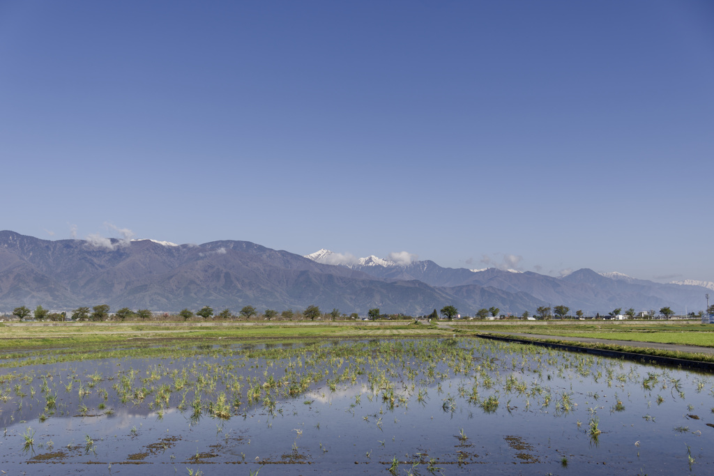 さわやかモーニング