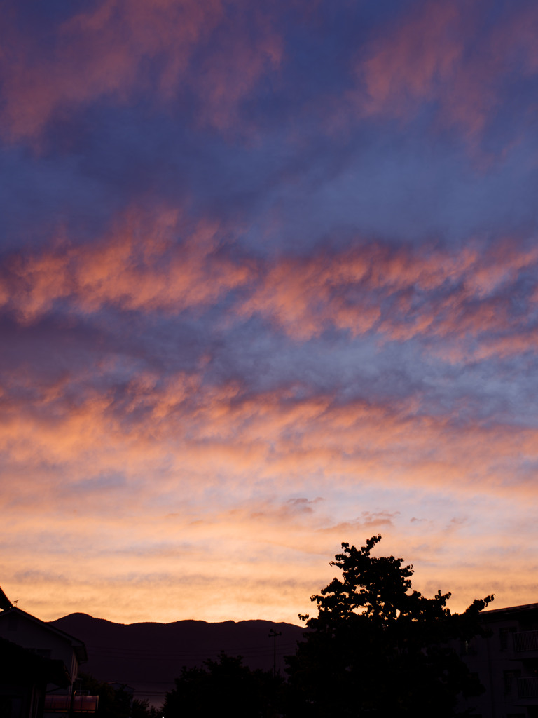 怖いほど美しい夕暮れ