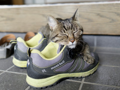 靴がすきすぎる