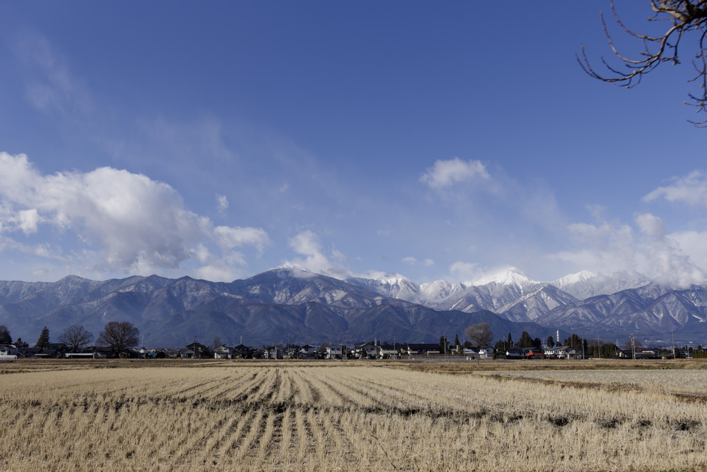 さわやかびより