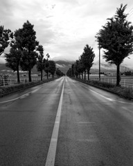 あめあがりのあさ