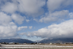 隠しきれない春の気配