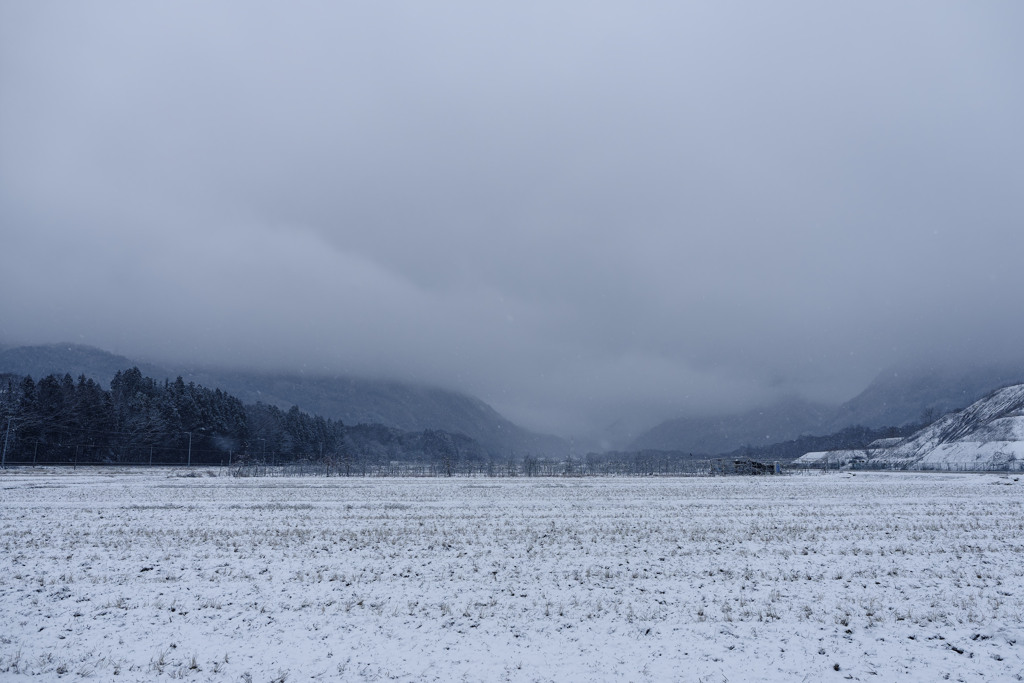 おおむね真っ白事件