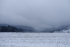 おおむね真っ白事件