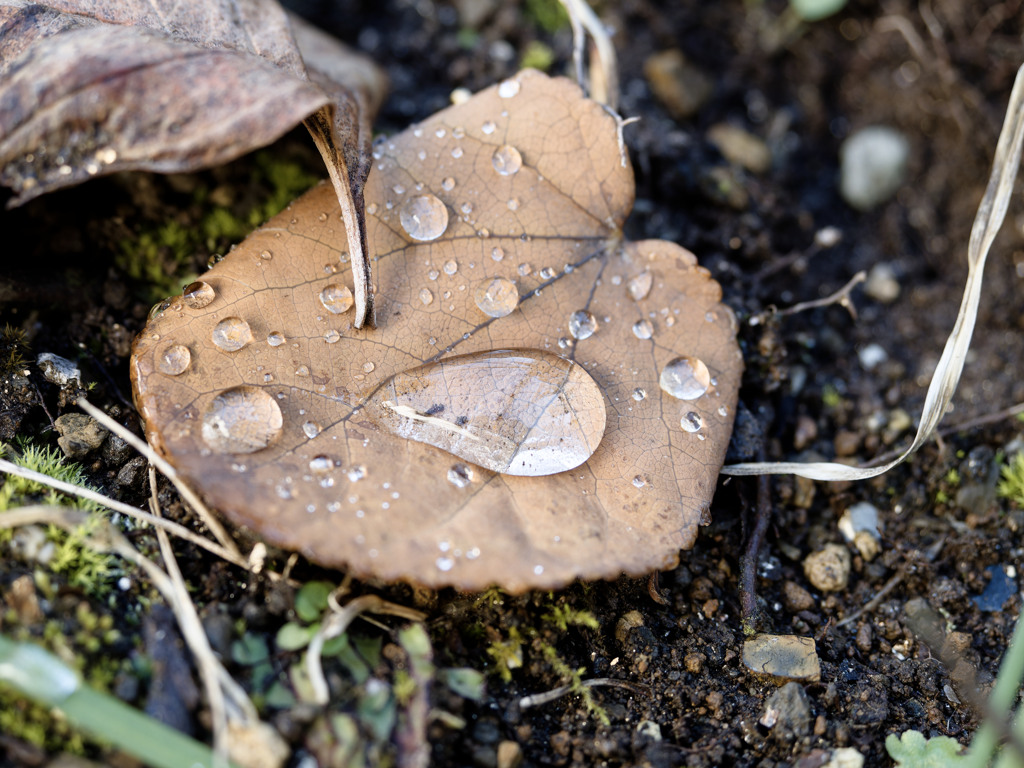あめあがりシリーズ
