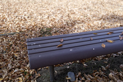 秋ベンチシリーズ