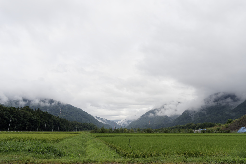 どんよりデイズ