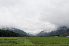 どんよりデイズ