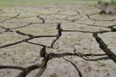 ひびわれだいち