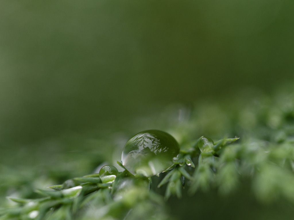 雨しずくぷるぷるシリーズ