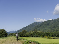 なつのやま