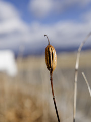 ﾐｽﾀｰﾍﾝﾘｰ