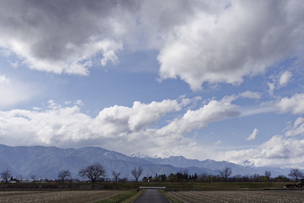 もくもくデイズ