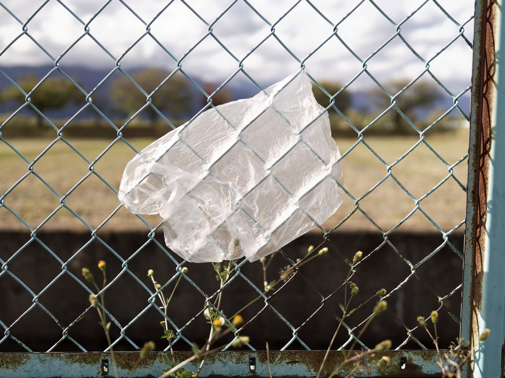 強風はりつき袋