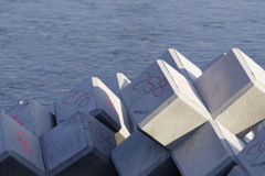 258
