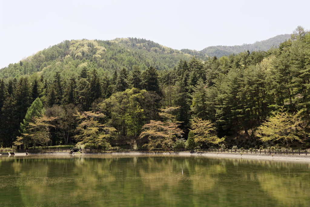 連休なのに誰もいない公園