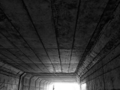 ｲｸﾞｼﾞｯﾄ