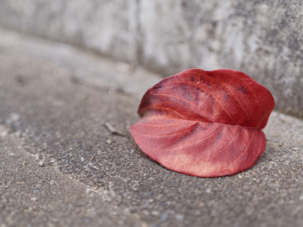 あきいろシリーズ