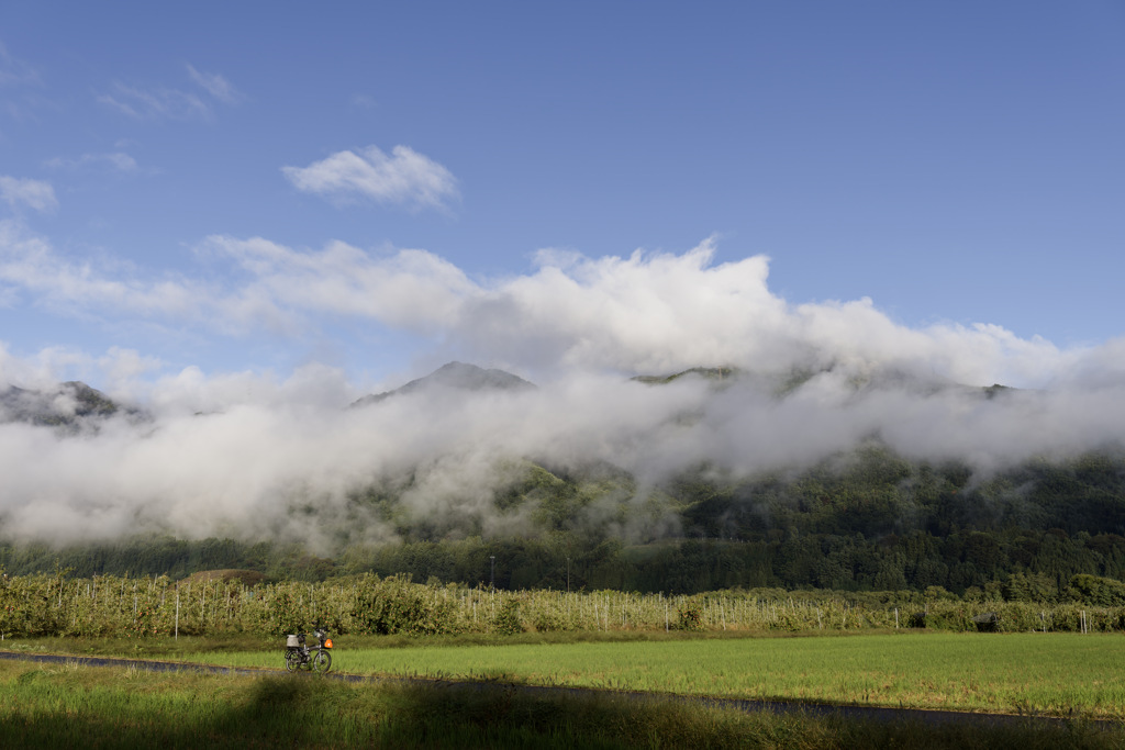 もくもくモーニング™